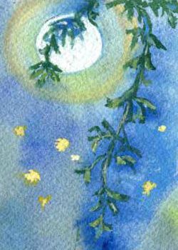 "Fireflies" by Beth White, Beloit WI - Watercolor